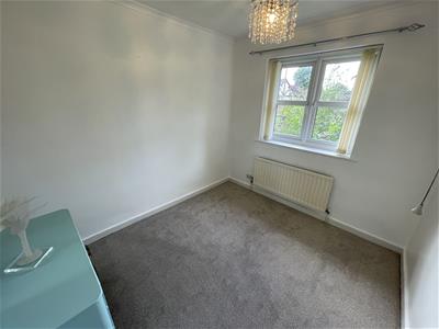 Picture 13